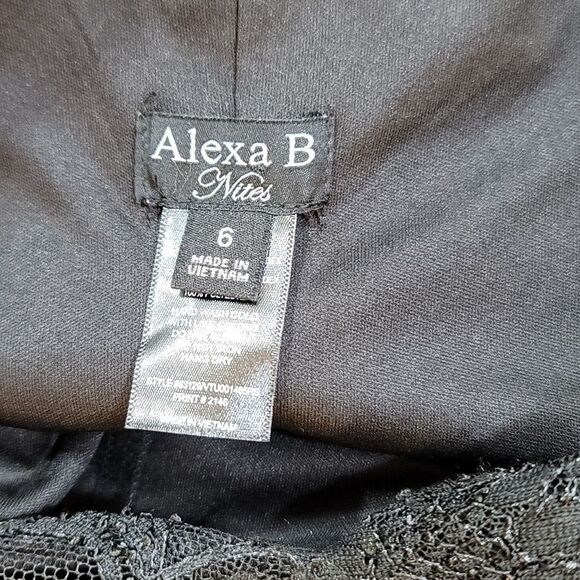 BRAND NEW ALEXA B NITES V-NECK SEQUIM EMBROIDERY MINI LACE DRESS - Picture 11 of 15